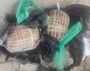 Duas 'bombas de peixe' foram encontradas no Subúrbio de Salvador