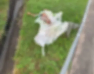 Corpo foi encontrado por moradores