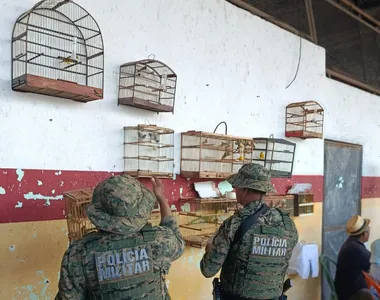 Apreensão foi realizada pela Companhia Independente de Polícia e Proteção Ambiental (Coppa)