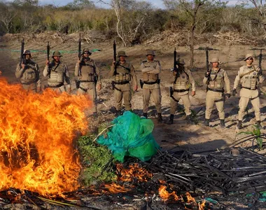 Droga foi incinerada