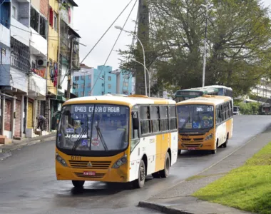 Ônibus amarelinhos que circulam em Salvador