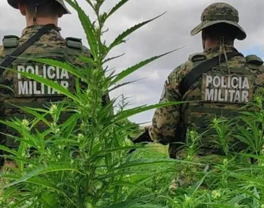 Operação Caatinga Limpa