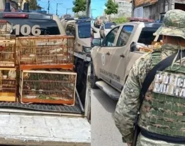 Rinha aconteceia em galpão