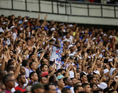 Torcedores comemoram muito o título do Nordestão