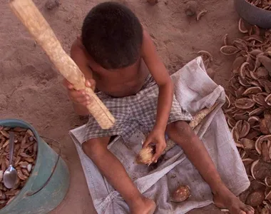 Zona rural tem metade do trabalho infantil da Bahia