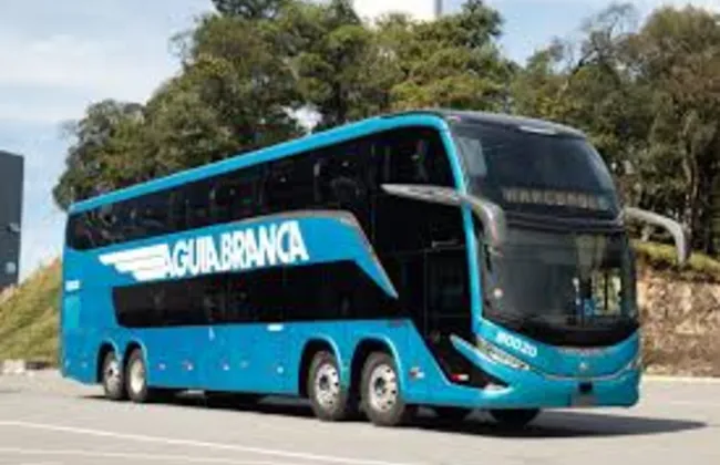 Imagem ilustrativa da imagem 