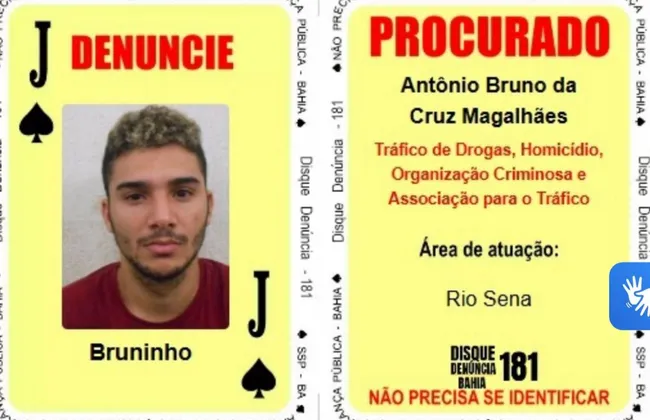 Imagem ilustrativa da imagem 