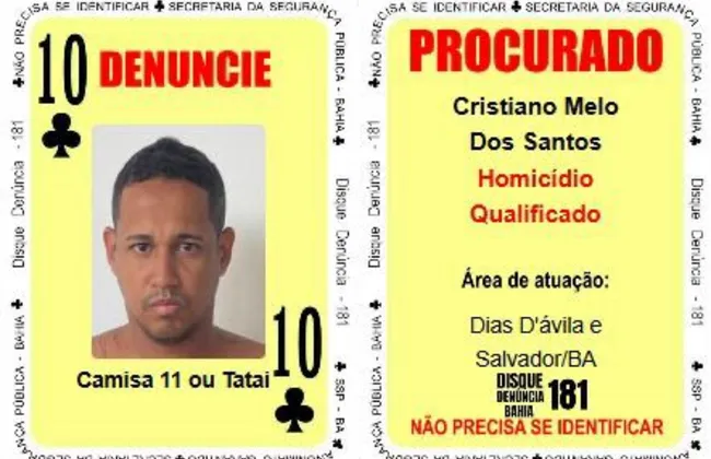 Imagem ilustrativa da imagem 