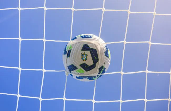 Imagem ilustrativa da imagem 