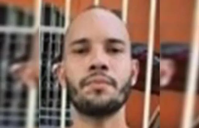 Imagem ilustrativa da imagem 