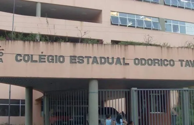 Imagem ilustrativa da imagem 