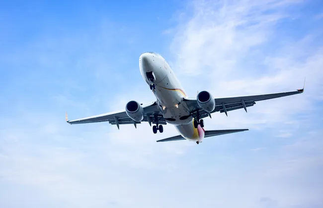 Imagem ilustrativa da imagem Piloto é suspenso após tomar todas e ficar nu antes de voo
