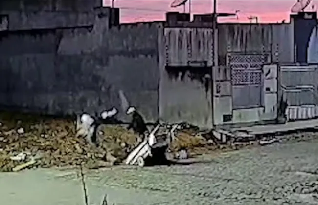 Imagem ilustrativa da imagem 