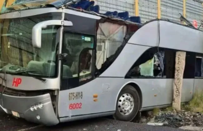 Imagem ilustrativa da imagem Trem corta ônibus ao meio e deixa vários mortos; assista