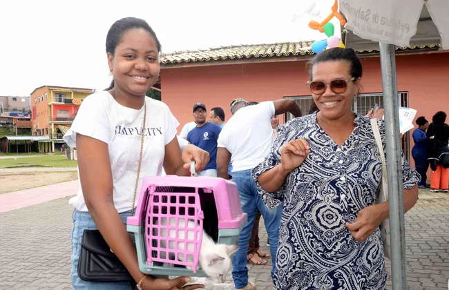 Imagem ilustrativa da imagem 