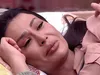Imagem ilustrativa da imagem 