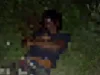 Imagem ilustrativa da imagem 