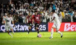Imagem ilustrativa da imagem 