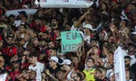 Imagem ilustrativa da imagem 