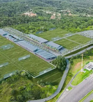 Imagem ilustrativa da imagem BYD no Bahia? Entenda o caminho para possível patrocínio