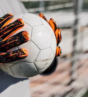 Imagem ilustrativa da imagem Bahia se interessa por goleiro destaque da Série B; veja quem é