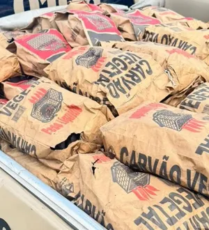 Imagem ilustrativa da imagem Churrasco cancelado! Polícia apreende 450 quilos de carvão em Salvador