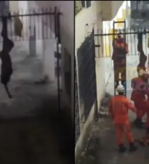 Imagem ilustrativa da imagem Lalau fica entalado no portão de condomínio na Graça