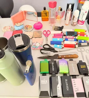 Imagem ilustrativa da imagem Mais de 2 mil itens proibidos já foram barrados no Virada Salvador