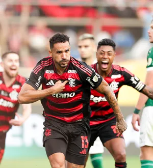 Imagem ilustrativa da imagem Urubu bica o Porco e Flamengo vence a quarta Copa Libertadores