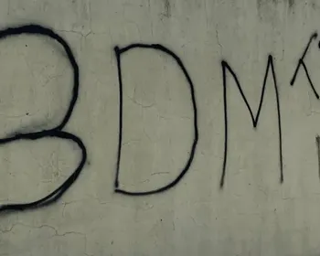 Imagem ilustrativa da imagem 