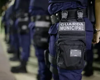 Imagem ilustrativa da imagem 