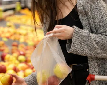 Imagem ilustrativa da imagem 