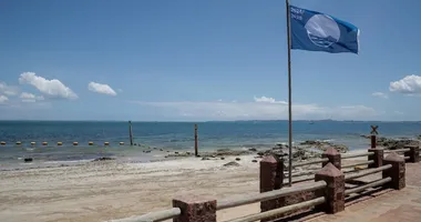 Imagem ilustrativa da imagem Assista: curtindo a praia, traficante é preso em São Tomé de Paripe
