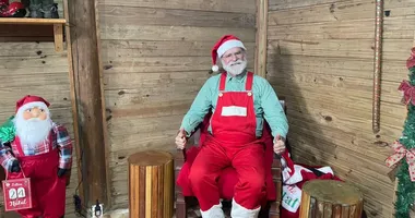 Imagem ilustrativa da imagem Casa do Papai Noel vira ponto de encontros de famílias na Fenagro