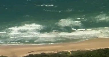 Imagem ilustrativa da imagem Corpo com marcas de mordidas é achado em famosa praia turística
