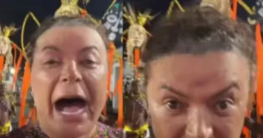 Imagem ilustrativa da imagem David Brazil perde peruca de R$ 7 mil durante chuva na Sapucaí