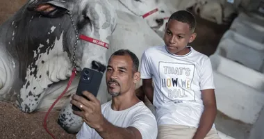 Imagem ilustrativa da imagem É hoje! Fenagro 2025 começa neste sábado com 9 dias de atrações