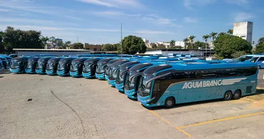 Imagem ilustrativa da imagem Empresa de ônibus abre 40 vagas para motoristas na Bahia