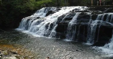 Imagem ilustrativa da imagem Picada de cobra faz turista perder a perna em cachoeira da Bahia