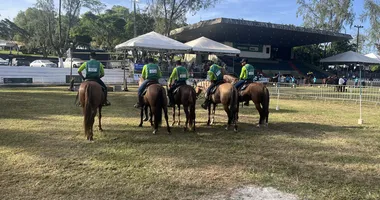 Imagem ilustrativa da imagem Saiba como funciona julgamento de cavalos na Fenagro