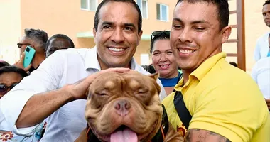 Imagem ilustrativa da imagem Salvador tem novas regras para clínicas e pet shops; saiba quais são