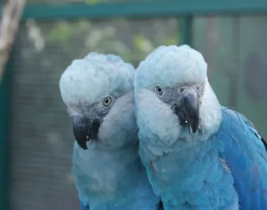 Empresa que faz gestão do projeto foi multada em  R$ 1,8 milhão