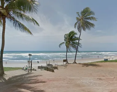 Baleia foi encontrada morta na Praia do Flamengo