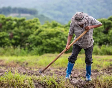 Trabalhadores rurais empacados em falta de informação