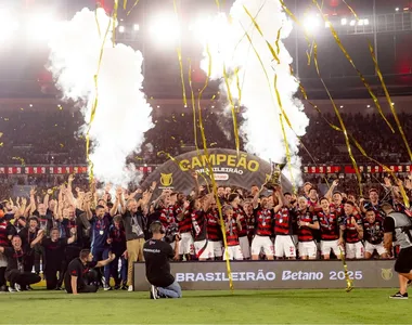 Flamengo vence Brasileirão 2025