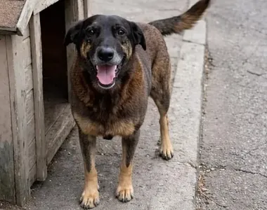 Identidade dos criminosos não foi divulgada