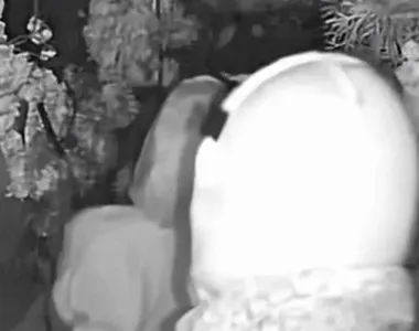 Os suspeitos levaram aproximadamente US$ 450 em dinheiro