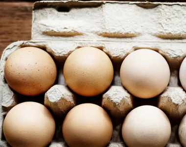 Ovo tem alto valor nutricional