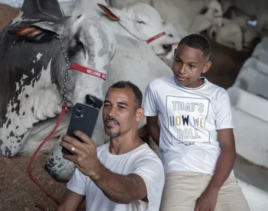 Imagem ilustrativa da imagem 