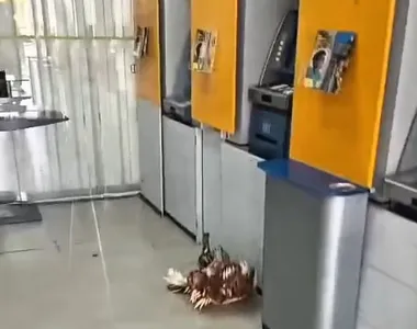 Oferenda foi deixada dentro de uma agência do Banco do Brasil